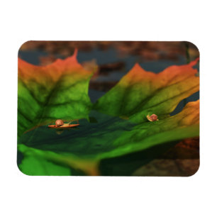 Ímã A Água É Um Grande Magnete Flexível