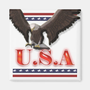 Imã A águia patriótica dos EUA stars listras