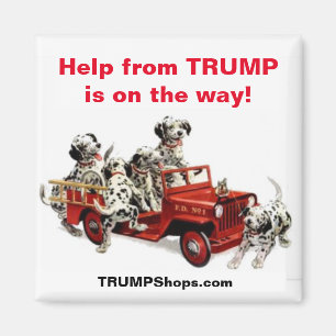 Imã A ajuda da TRUMP está a caminho! ímã