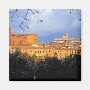 Imã A aldeia toscana de Sienna, Itália.