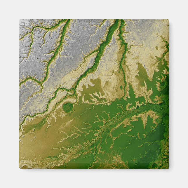 Imã A Amazônia boliviana (Frente)