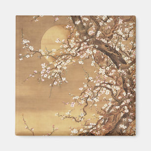Imã A ameixa japonesa floresce à lua