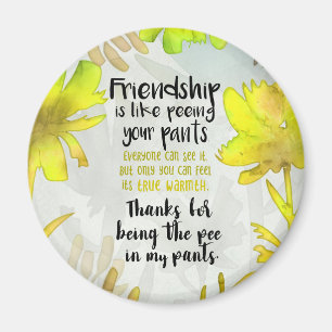 Imã A amizade é como fazer xixi suas calças