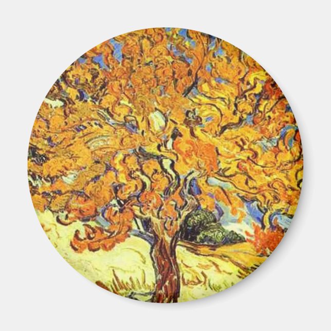 Imã A Amoreira, Vincent Van Gogh (Frente)