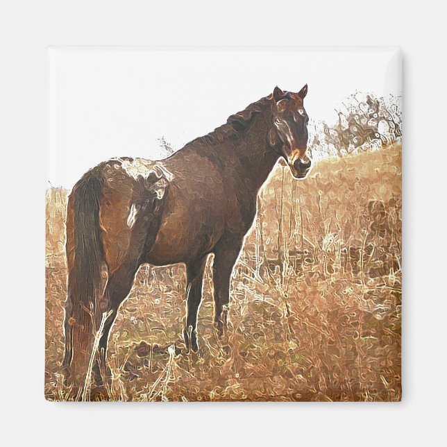 Imã A Appy (Frente)