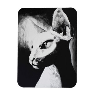 Ímã A arte calva do branco do preto do animal de