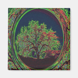 Imã A árvore da vida....