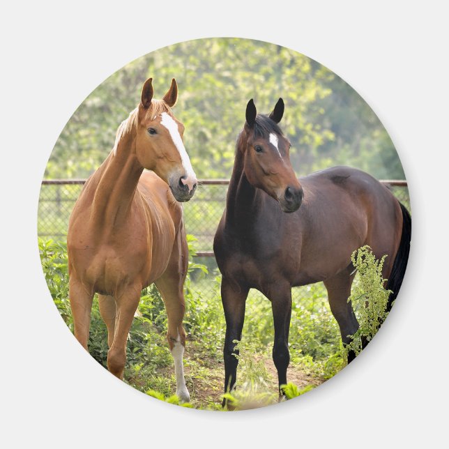 Imã À Atenção (Frente)