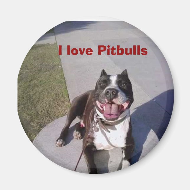 Imã A aula de Roscoe, eu adoro Pitbulls (Frente)