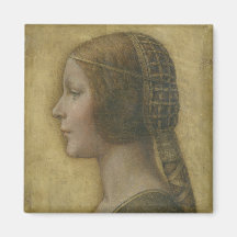 A bela princesa (por Leonardo da Vinci)