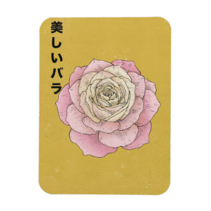 Ímã A Bela Rosa