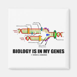 Imã A biologia está em meus genes (a réplica do ADN)