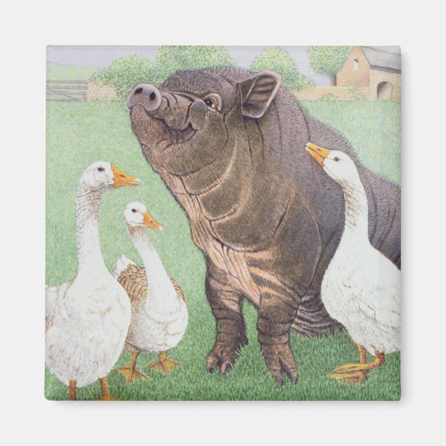 Imã A boa vida (Frente)