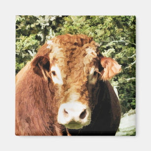 IMÃ A BULL