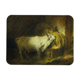 Ímã A Bull branca no estável (óleo em canvas)