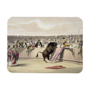 Ímã A Bull que pula as barreiras, 1865 (litho da cor)