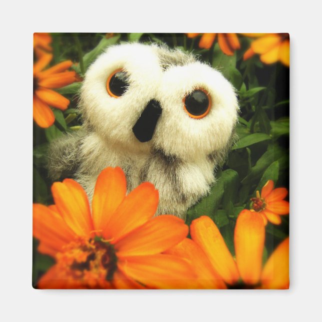 Imã A Busca Por Fadas Continua... (Frente)