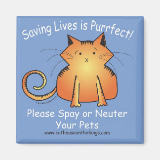 Imã A Casa do Gato nos Kings Spay e Neuter