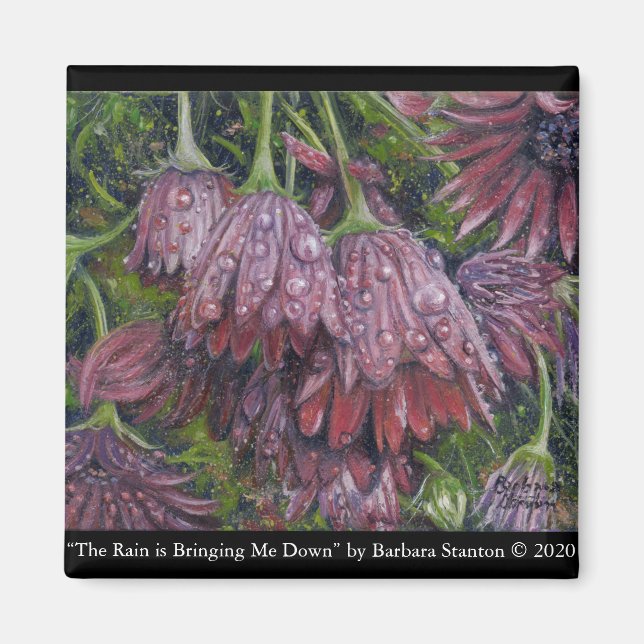 Imã "A chuva está me derrubando" (Frente)