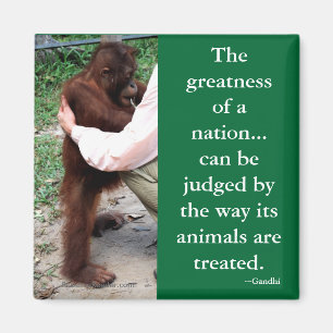 Imã A cotação animal de Gandhi