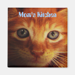 Imã A cozinha da mãe, azul eyed o gatinho amarelo