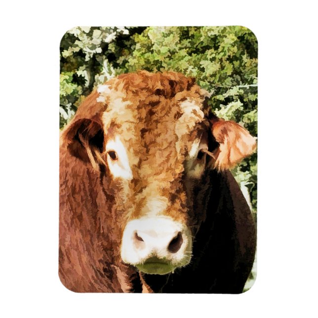 ÍMÃ A CULPA (Vertical)