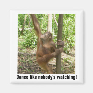 Imã A dança gosta de ninguém olhar inspirador