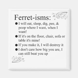 Imã A doninha representa provérbios e citações