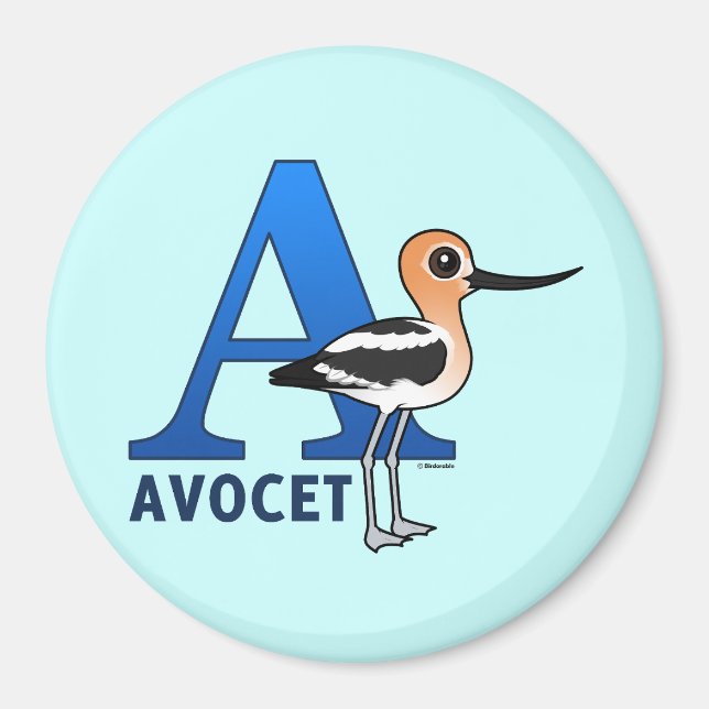 Imã A é para a Avocet (Frente)