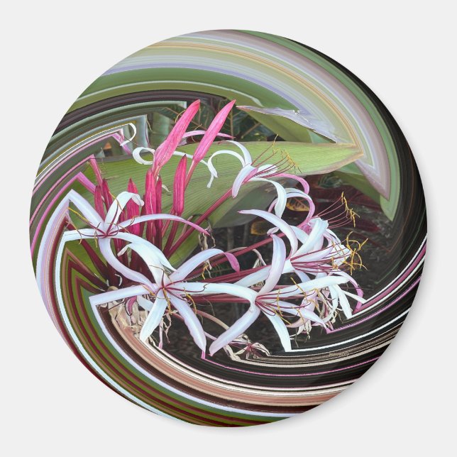 Imã A espreitar..... (Frente)