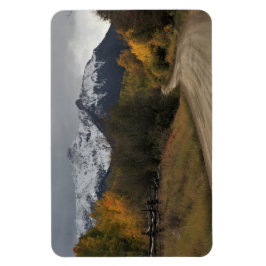 Ímã A estrada para casa