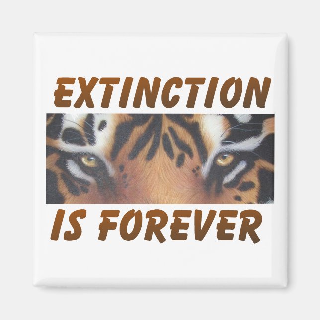 Imã A extinção é para sempre (Frente)