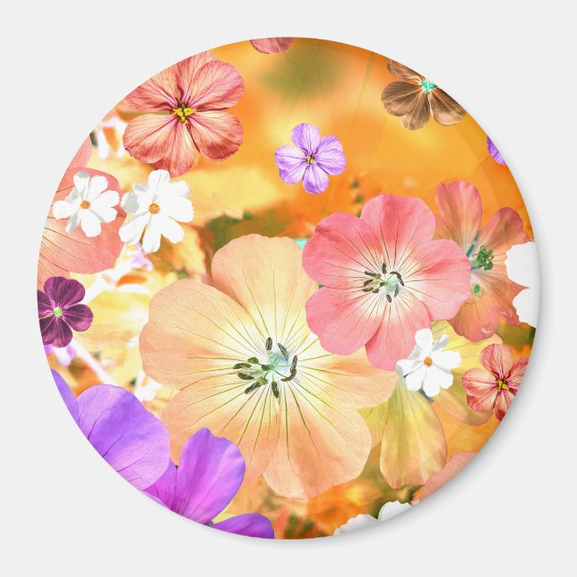 Imã A fada sairá logo 3 (Frente)