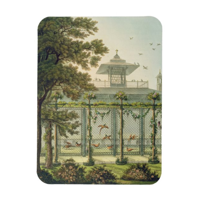 Ímã A faisão, gravada por Joseph Constantine Sta (Vertical)