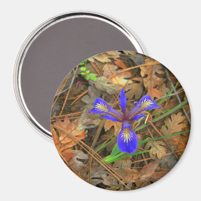 Imã A flor selvagem da Íris... (Front/Back)