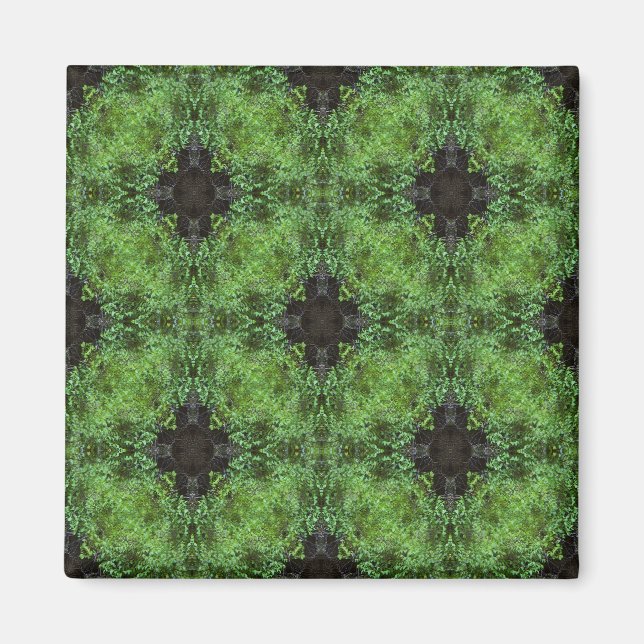 Imã A floresta celta.... (Frente)