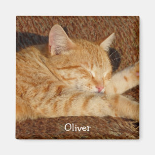 Imã A foto do animal de estimação personalizado