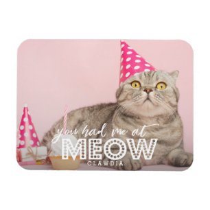 Ímã A foto   do gato você teve-me no Meow