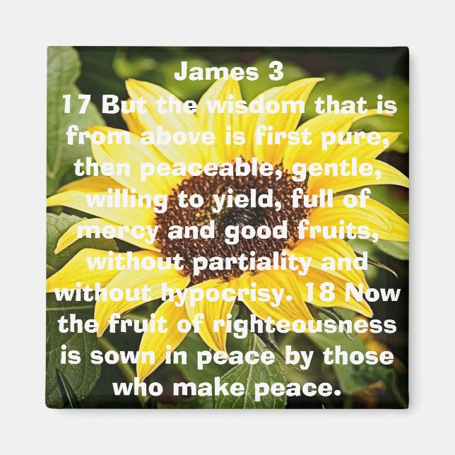 Imã a fruta do girassol verso bíblia da retidão (Frente)