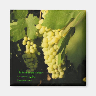 Imã A fruta dos justos é uma árvore de...