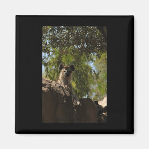 Imã A Hyena Nature Alojou Valência Sética Vertical