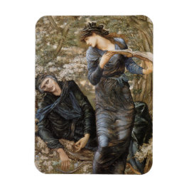 Ímã A invasão de Merlin (Edward Burne-Jones) por Vivie