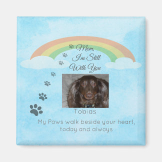 Imã A Little Light Beyond the Rainbow