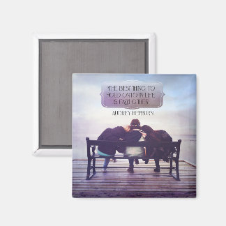 Imã A Melhor Coisa A Se Manter Na Vida