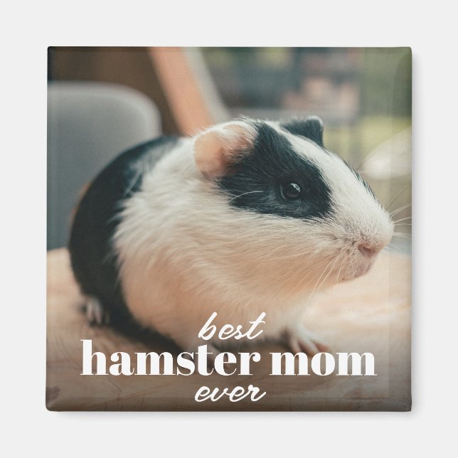 Imã A Melhor Mãe De Hamster Alguma Vez Personalizada F (Frente)