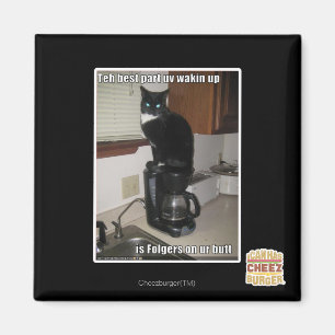 Imã a melhor parte do uv desperta