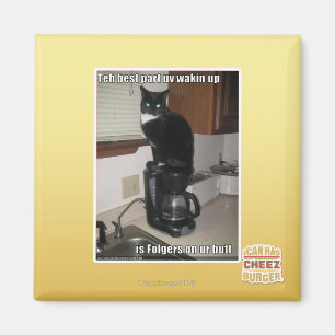 Imã a melhor parte do uv desperta