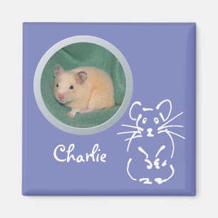 Imã A memória do hamster adiciona uma foto