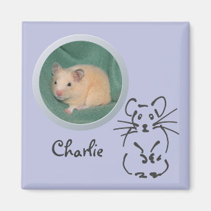 Imã A memória do hamster adiciona uma foto