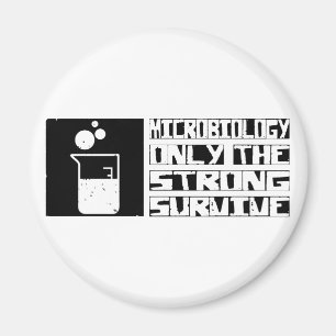 Imã A microbiologia sobrevive